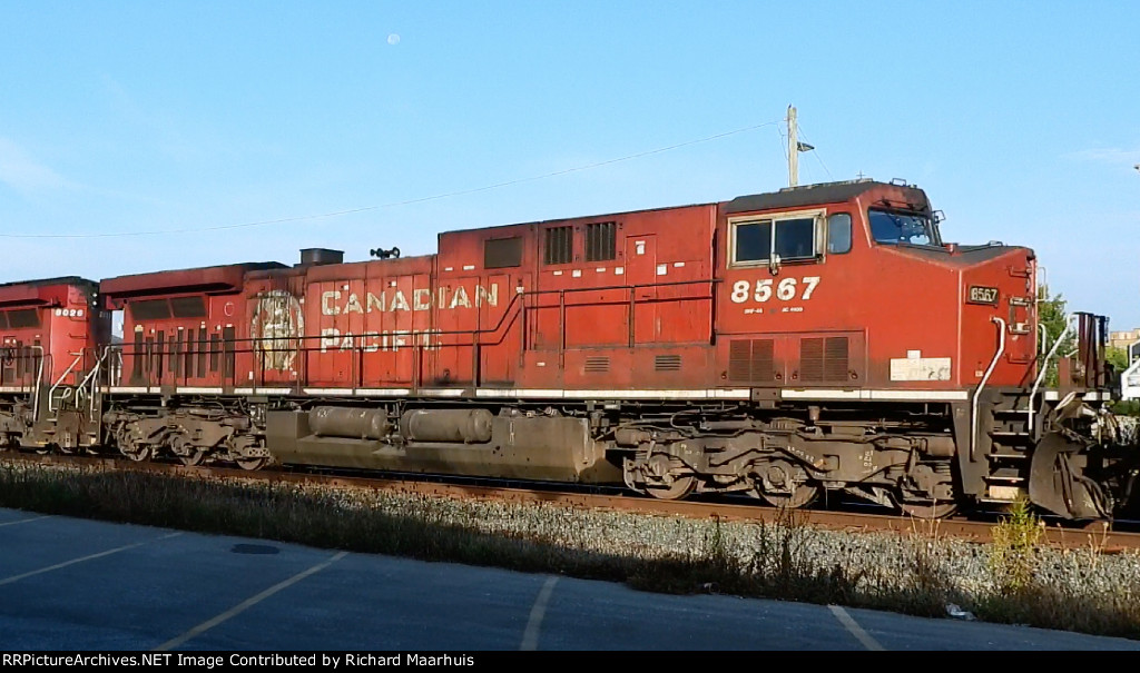 CP 8567